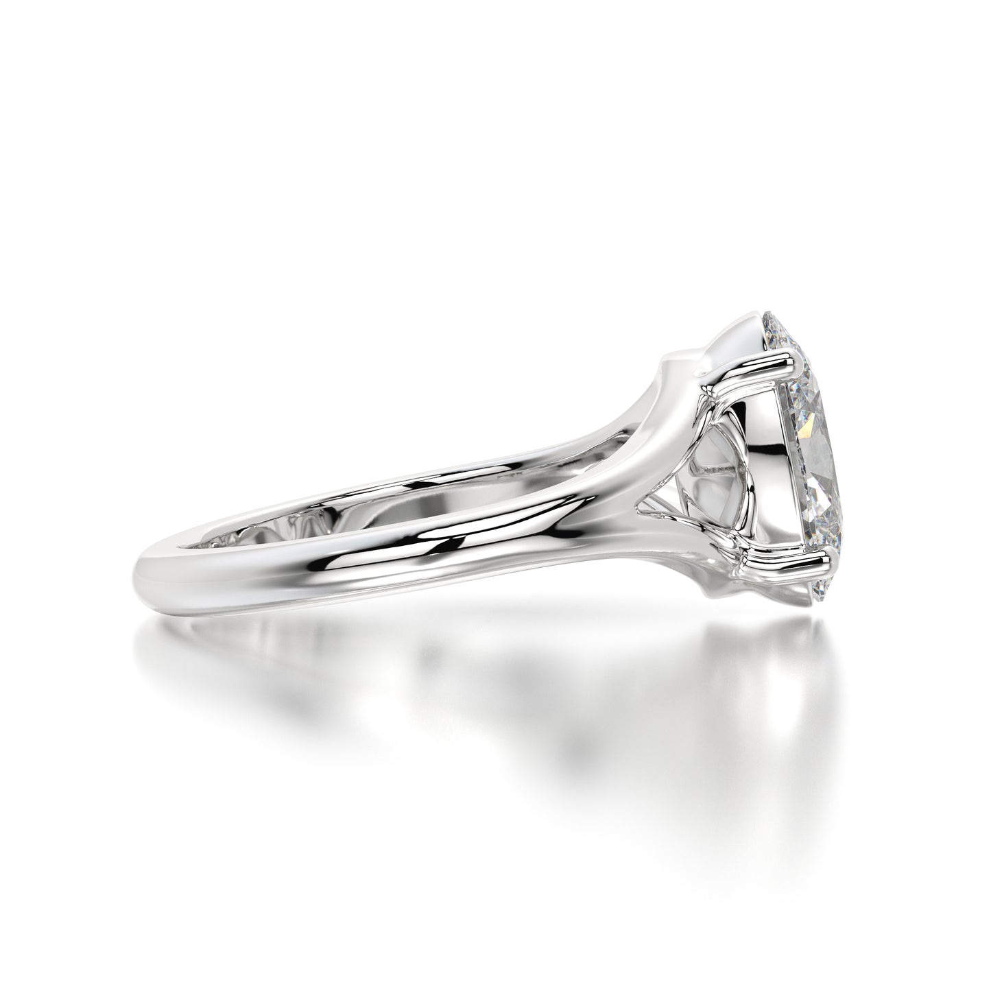 Halo - Oval
