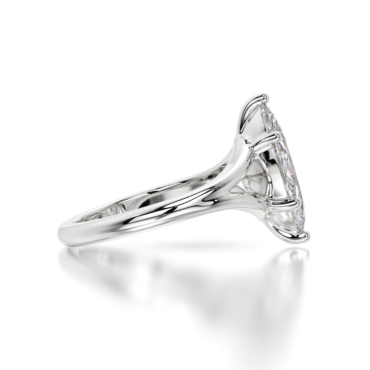 Halo - Marquise-9